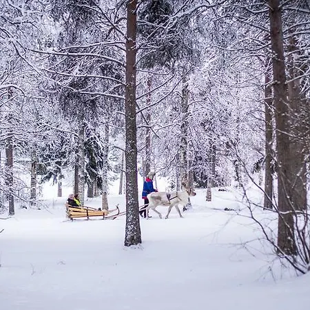 Lapland Igloo Ranua