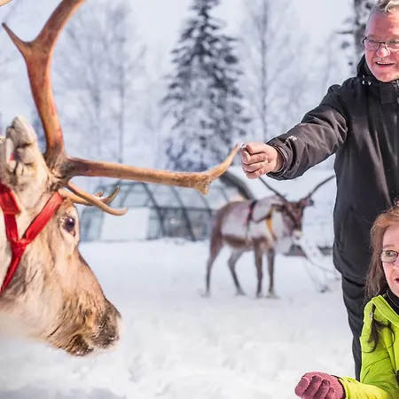 Hotel Lapland Igloo
