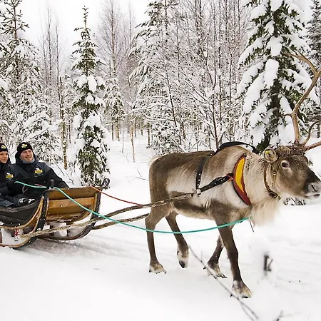 Hotel Lapland Igloo Ranua