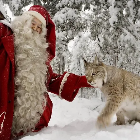 Lapland Igloo Hotel 5*